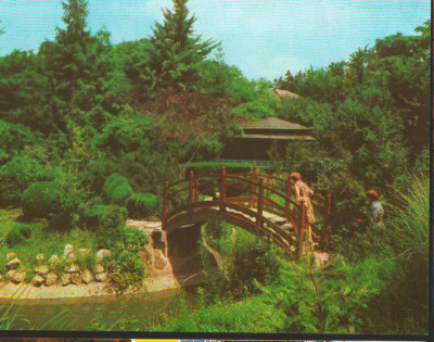 CPI B12326 CARTE POSTALA - CLUJ, GRADINA BOTANICA foto