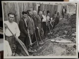 Fotografie, grup de barbati la munca voluntara obsteasca in Oltenia, condusi de tov. Dobrescu, perioada comunista