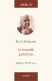 Opere VII. La ruinurile galanteriei. Opera postumă - Hardcover - Emil Brumaru - Polirom, 2020