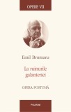 Opere VII. La ruinurile galanteriei. Opera postumă - Hardcover - Emil Brumaru - Polirom