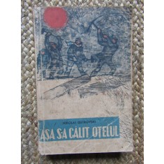 ASA S-A CALIT OTELUL - N. OSTROVSKI