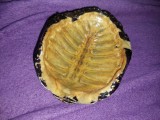 Carapace broasca testoasa,carapace Decor-Scrumiera-chei-bijuterii,FOSILA- RARA