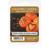 Country Candle Pinecone &amp; Pomander ceară pentru aromatizator 64 g