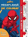 Marvel. Megaplansa de colorat, Litera