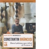 Brancusi, zborul patimas spre infinit al Printesei X - Dan-Silviu Boerescu