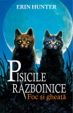 Pisicile Razboinice - Vol 2 - Foc si gheata