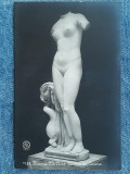 662 - Statuie clasica nud in Muzeul National Roma / carte postala interbelica, Necirculata, Printata