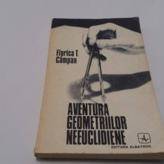 Aventura geometriilor neeuclidiene Florica Campan rf17/4
