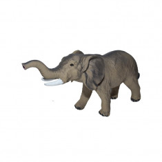 Elefant cauciuc cu sunet foto