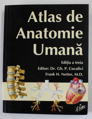 ATLAS DE ANATOMIE UMANA FRANK H. NETTER , editor Dr. GH. P. CUCULICI , 2004 *LIPSA 19 FILE ( PLANSELE 376 - 415 ) foto
