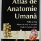 ATLAS DE ANATOMIE UMANA FRANK H. NETTER , editor Dr. GH. P. CUCULICI , 2004 *LIPSA 19 FILE ( PLANSELE 376 - 415 )