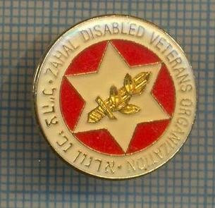 Y 1488 INSIGNA- ORGANIZATIE VETERANI -ISRAEL - PENTRU COLECTIONARI foto