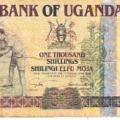 M1 - Bancnota foarte veche - Uganda - 1000 shilingi - 2005