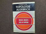 TOPOLOGIE ALGEBRICA - R. MIRON , I.POP 17/1