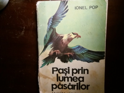 pasi prin lumea pasarilor ionel pop foto