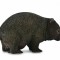 Figurina Wombat M Collecta