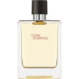 HERM&Egrave;S Terre d&rsquo;Herm&egrave;s Eau de Toilette pentru bărbați 100 ml