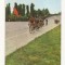 RF17 -Carte Postala- Maximafilie, Ciclism, circulata 1965