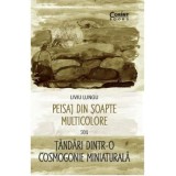 Peisaj din soapte multicolore sau Tandari dintr-o cosmogonie miniaturala - Liviu Lungu