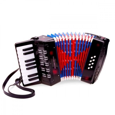Acordeon mare - Instrument muzical copii - Negru foto