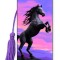 Royce 3D Bookmark - Stallion