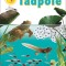 Tale of a Tadpole