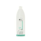 Hairconcept Professional Rizz - sampon pentru par cret si ondulat, 1000 ml