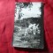Ilustrata Sangeorz Bai 1965 , Ed. Meridiane , urme de lipire pe verso