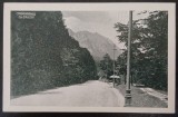 Carte postala, Carpatii, vedere Caraimanul cu crucea, perioada interbelica