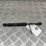 Amortizor capota dreapta față TESLA MODEL Y 2022 OEM: 1692576-00-A 29982367
