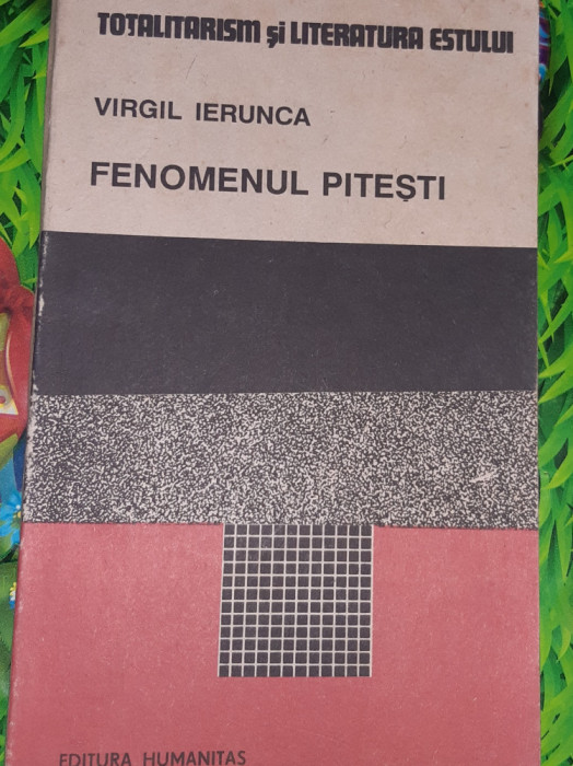 FENOMENUL PITESTI VIRGIL IERUNCA