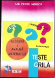 TESTE GRILA. ALGEBRA SI ANALIZA MATEMATICA-ILIE PETRE IAMBOR-338205