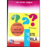 TESTE GRILA. ALGEBRA SI ANALIZA MATEMATICA-ILIE PETRE IAMBOR-338205