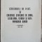 Cursurile de vara colocviile de limba, literatura, istoria, arta poporului roman