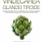 Anthony William - Vindecarea glandei tiroide