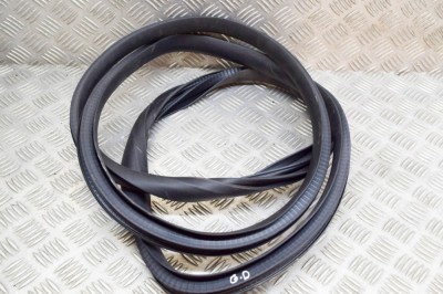 Garnitura ușă dreapta spate TESLA MODEL Y 2021 OEM: 1497676-00-D | 20585146 foto