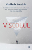 Viscolul - Paperback brosat - Vladimir Sorokin - Curtea Veche