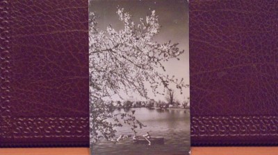 R .P.R. - BUCURESTI - LACUL HERASTRAU - CIRCULATA. foto
