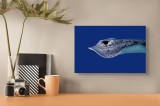 Tablou Canvas, "Pasărea albastră a ad&acirc;ncurilor misterioase", Pisică-De-Mare, Albastru, Ocean, Eleganță, Grație, Apă, Subacvatic, Culoare, Liniște, For