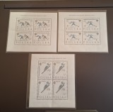 Polonia MNH 1962 - set blocuri - FIS Schi - foarte RAR