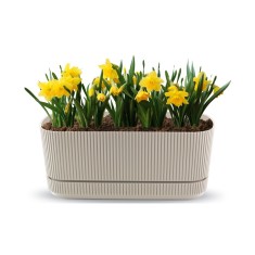 Jardinieră Flora, 3 L