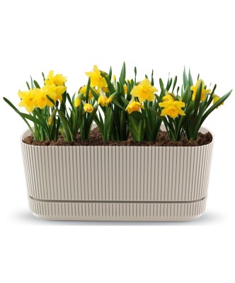 Jardinieră Flora, 3 L foto