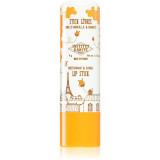 Cumpara ieftin Institut Karit&eacute; Paris Beeswax &amp; Shea Lip Stick balsam de buze unt de shea cu parfum Vanilla 4 g