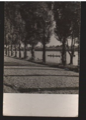 CPI B13535 CARTE POSTALA - BUCURESTI - LACUL TEI, RPR foto