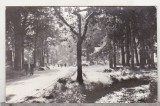 Bnk cp Baile Moneasa - Vedere din parc - circulata, Printata, Arad