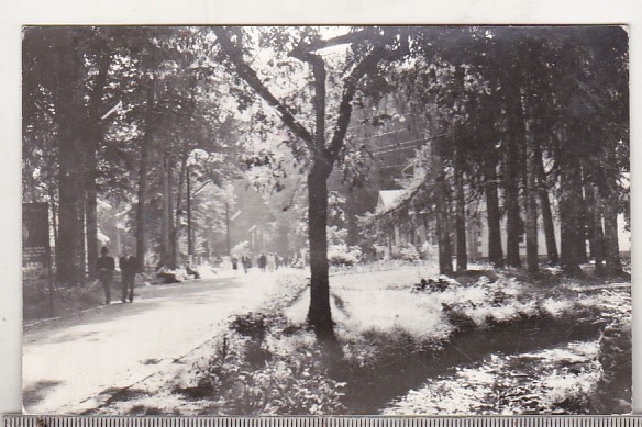 bnk cp Baile Moneasa - Vedere din parc - circulata