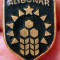 I.234 SERBIA JUGOSLAVIA YUGOSLAVIA INSIGNA STICKPIN ALIBUNAR h16mm