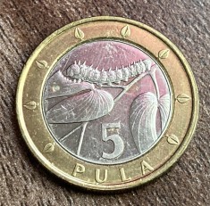 C50 - Moneda foarte veche - 5 pula - Botswana - 2007