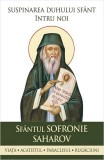 Cumpara ieftin Suspinarea Duhului Sf&acirc;nt &icirc;ntru noi - Paperback brosat - Sophia