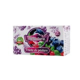 Ceai de fructe de padure, 20 plicuri, AdNatura